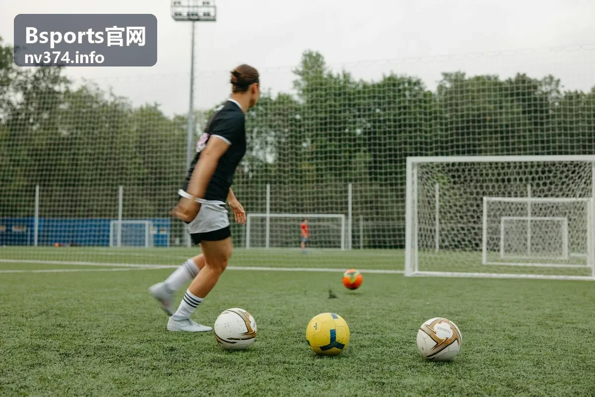 Bsports官网数据统计功能截图