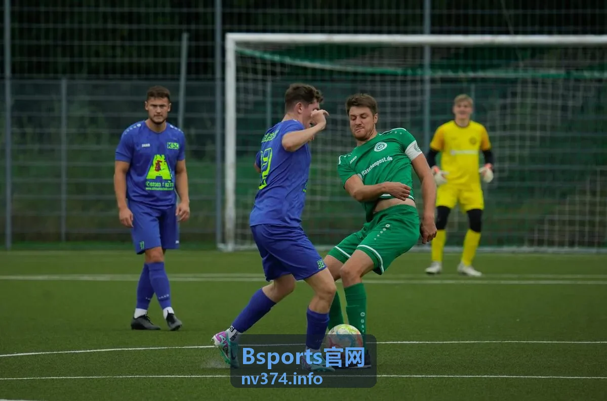 Bsports官网更快捷稳定的客户端